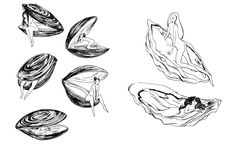 an ink drawing of seashells