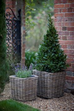 two planters sitting next to each other in front of a brick wall