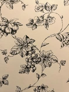 black and white drawing of grapes on a vine