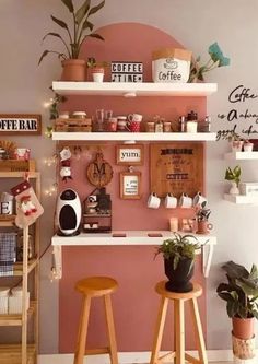 two wooden stools in front of a pink wall with shelves and plants on it