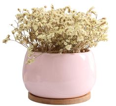 a pink vase filled with lots of white flowers