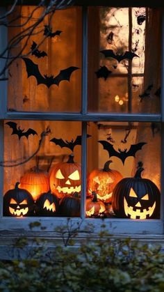 halloween pumpkins are lit up in front of a window with bats on the windowsill