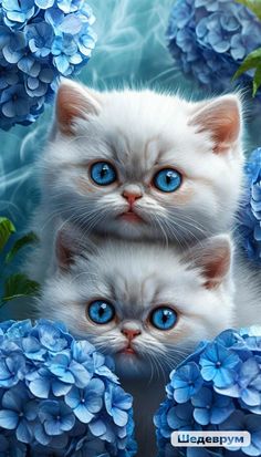 two white kittens with blue eyes surrounded by flowers