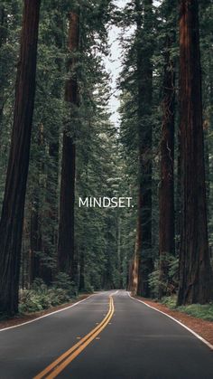 an empty road surrounded by tall trees with the words mindset written in front of it