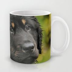 a close up of a black and brown dog's face on a coffee mug