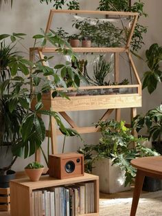 a shelf with plants and books in it