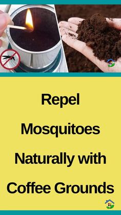 repel mosquitoes naturally with coffee grounds