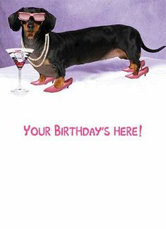 Happy Birthday Dachshund, Crusoe The Celebrity Dachshund, Dachshund Birthday, Birthday Quotes For Her, Dachshund Tattoo, Dachshund Funny, Rat Terrier, Long Haired Dachshund, Happy Birthday Funny