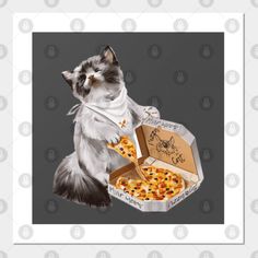 a cat eating pizza from a box with the caption's name on it