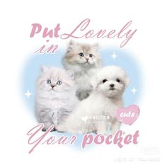 three kittens and one dog are standing next to each other with the words put lovely in your pocket