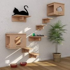 there is a cat house on the wall next to a potted plant and some shelves