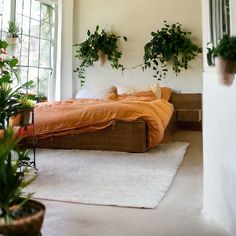 a bedroom with plants hanging on the wall