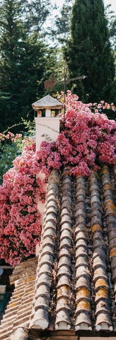 pink flowers are growing on the roof of a building in front of trees and bushes