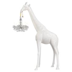 a white giraffe standing next to a chandelier