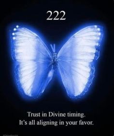 a blue butterfly with the caption 22 22 trust in divine time it's all aligning in your flavor