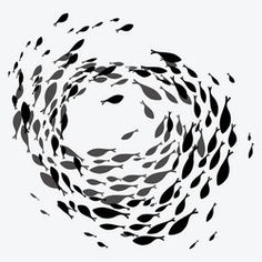 a group of fish swimming through the air in a circular pattern on a white background