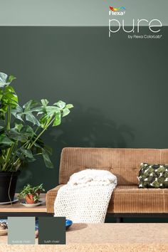 a living room with green walls and potted plants on the coffee table next to it