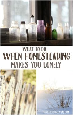 the cover of what to do when homesteading makes you lonely