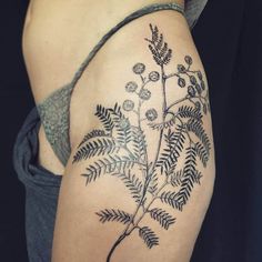 a black and white photo of a fern tattoo on the right side of a woman's arm