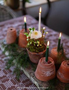 candles are arranged in clay pots with moss and flowers on the table top, surrounded by small potted plants