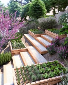 an outdoor garden with wooden steps and plants in the center, surrounded by purple flowers