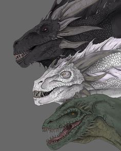 three different types of dragon heads with their mouths open