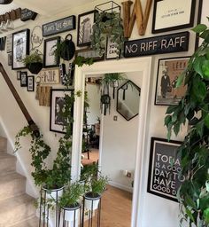 there are many plants and pictures on the wall