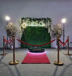 a red carpeted area with rope barriers and flowers on the wall in front of it