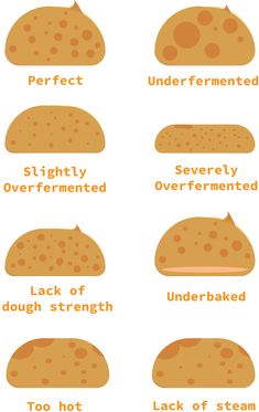 different types of breads with words describing them