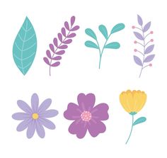 various flowers and leaves on a white background