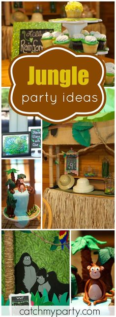 jungle party ideas including cupcakes, cake and decorations