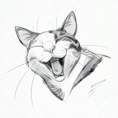 a drawing of a cat with its mouth open