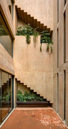 an empty room with plants growing on the wall and stairs leading up to the second floor