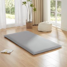 an empty room with a large mat on the floor and a potted plant next to it