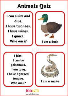 an animal quiz with pictures of animals and their names in red frames, which include the words i am a snake