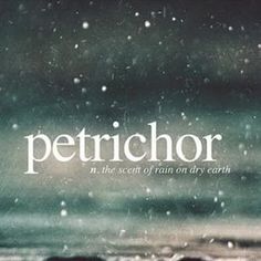 the words petrictor are written in white on a blurry background with water droplets