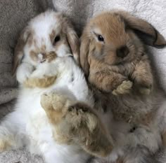 two stuffed rabbits are laying on their back