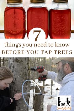 two mason jars with the words 7 things you need to know before you tap trees