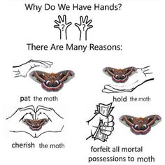 a poster with instructions on how to use moths for hand gestures and the words, why do we have hands? there are many reasonss