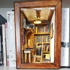 a book shelf with books and a miniature doll house in the middle surrounded by other books