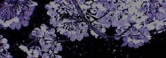 an image of purple flowers on a screen with black and white lines in the background