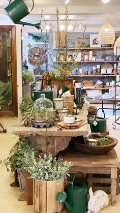 Store display
Vintage
Garden
Plants
Summer
Spring
Visual merchandising 
Retail Best Retail Store Design, Rustic Flower Shop, Garden Boutique, Plant Store Ideas Vintage, Home Boutique Ideas, Garden Center Displays Retail, Vintage Boho Shop Display, Garden Centre Displays Retail, Vintage Shop Display