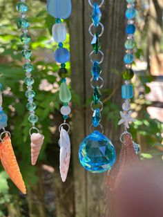 the wind chime is hanging from the tree in the forest with shells and seashells