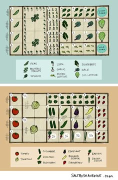 an illustrated garden plan with different types of plants