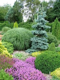 a garden filled with lots of different types of flowers and trees in it's center