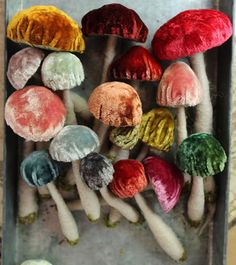 several different colored mushrooms in a metal container