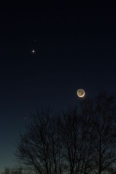 the moon and venus are visible in the night sky above trees with no leaves on them