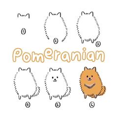 how to draw a pomeranian dog step by step drawing instructions for kids and beginners