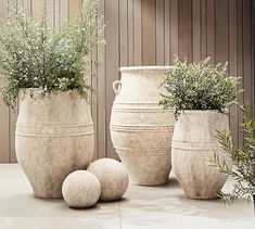 three large vases with plants in them sitting on a cement floor next to each other