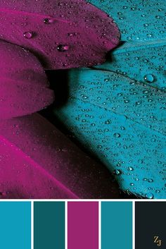 a blue and purple color scheme with water droplets on the petals, in shades of teal